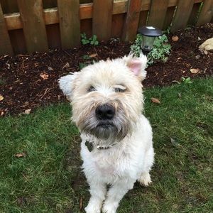 Meet your Posher, Lacie